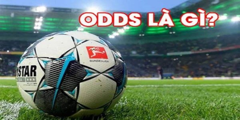 Odds là gì? Giới thiệu thông tin tổng quan